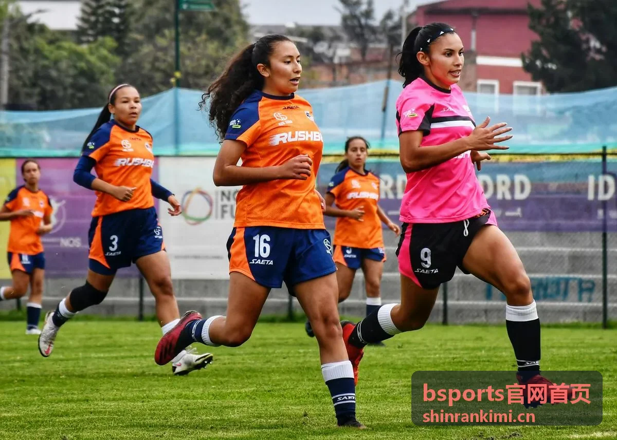 bsports官网首页运动竞集合集封面